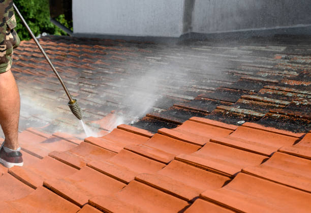 Best Residential Pressure Washing Services  in Rockford, IL