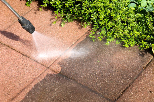 Best Pressure Washing Cost  in Rockford, IL